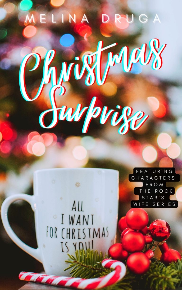 Christmas Surprise by Melina Druga